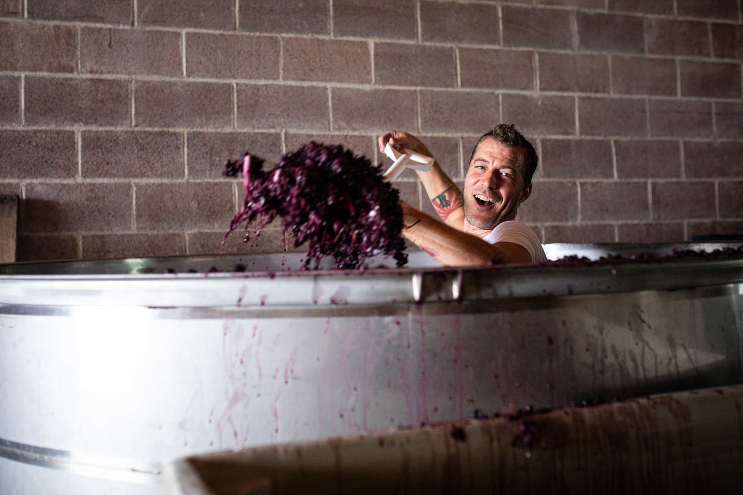 a winemaker shoveling grapes into a stainless steel tank