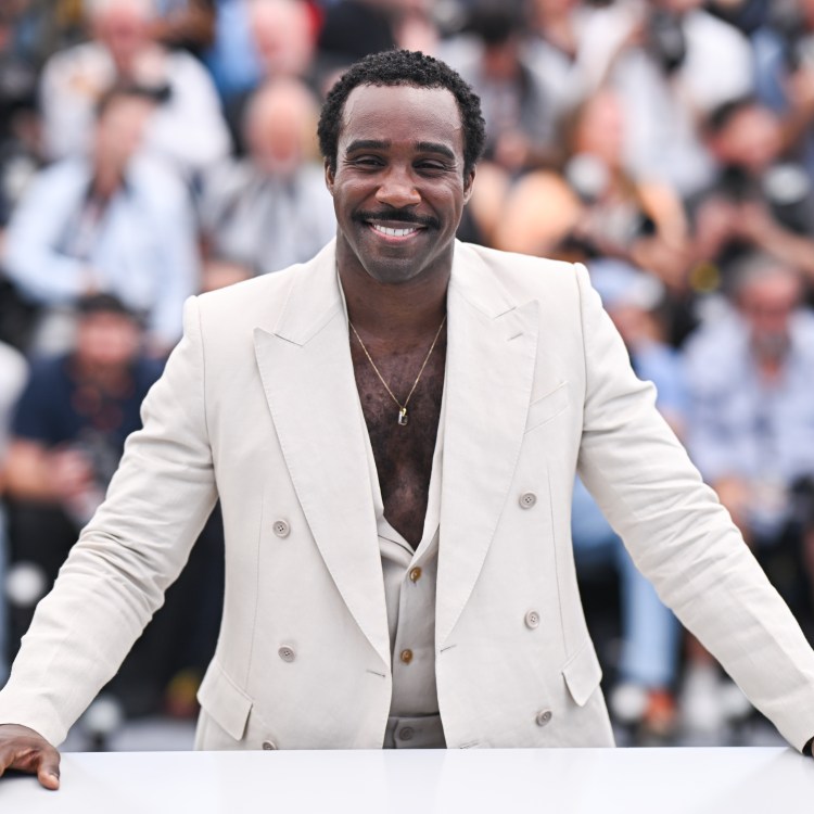Cannes Film Festival Red Carpet 2025
