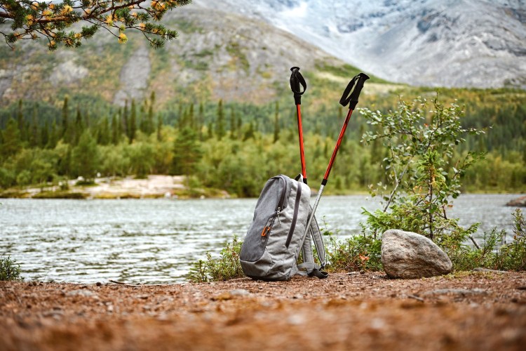 Hiking poles