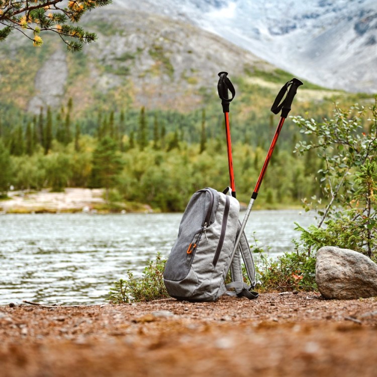 Hiking poles