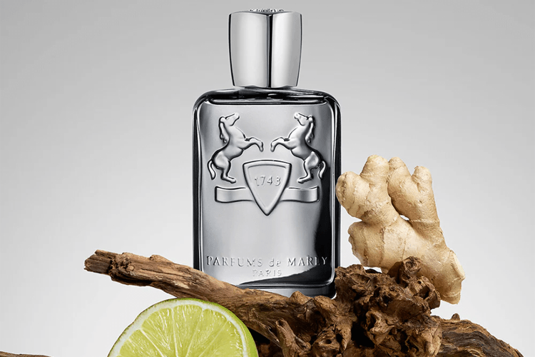 These are the best colognes of 2025.