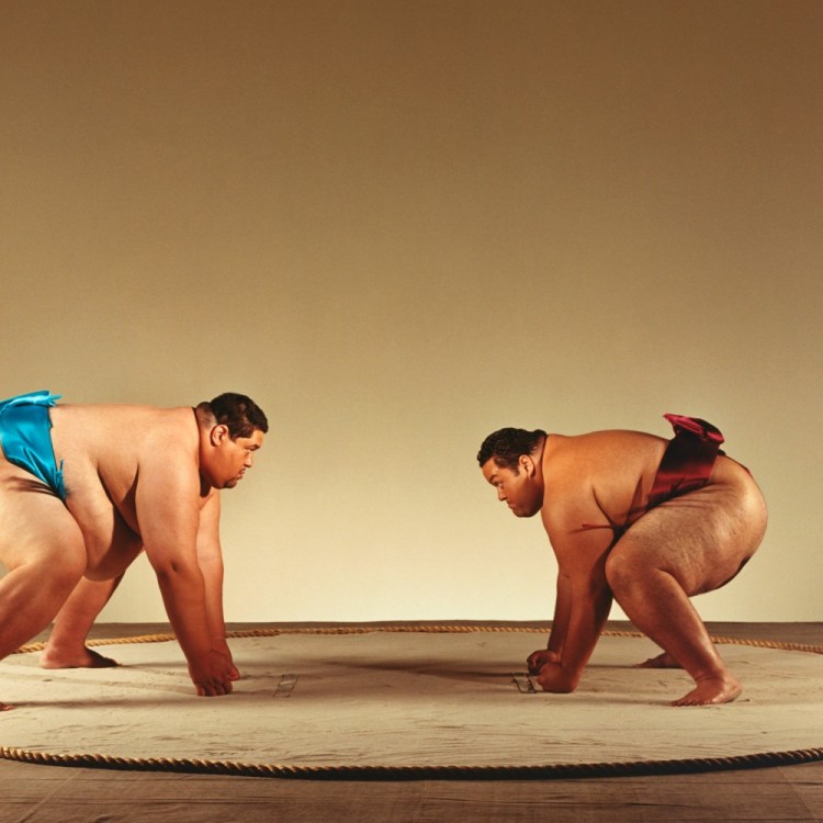 Sumo wrestling